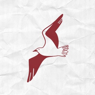 Чайка🕊️| Журналистика и литература: олимпиады, ДВИ, ЕГЭ