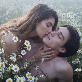 Chamomile.Ai