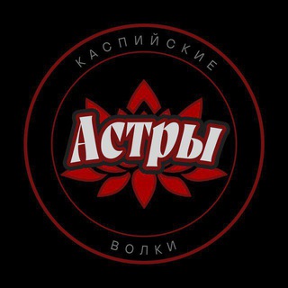 Сборная АГУ по чирлидингу «Астры»