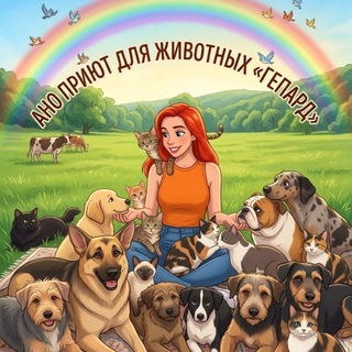 Приют для животных «ГЕПАРД» 🐶 🐈‍⬛
