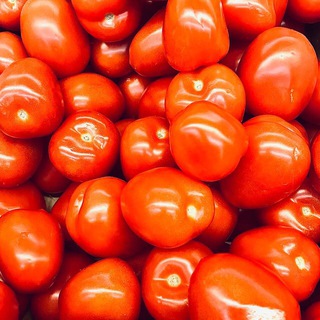 Чел рисует👀🌭