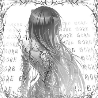 sᴀɴʀɪsᴇ