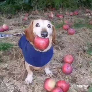 Ой что это... ХЛЕБ🍞