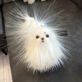 чукумубер