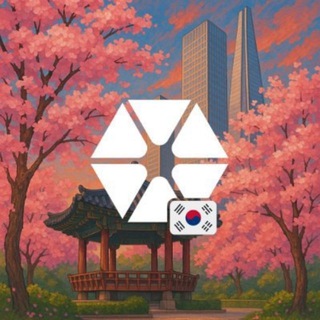 시트레아 한국어 공지채널🇰🇷