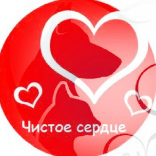 Мини-приют для кошек "Чистое сердце" (г.Полевской)
