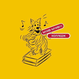 Колледж МУИВ🎓