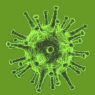 Corona Virus Informationen 2