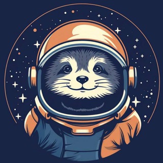 CosmosNibble
