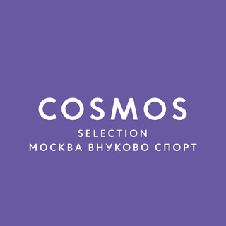Cosmos Selection Москва Внуково Спорт Отель