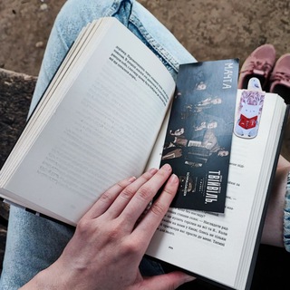 cozy books and tea