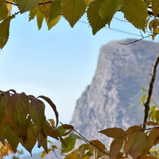 Хочу землю в Крыму 🌄