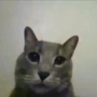 cursedgbf