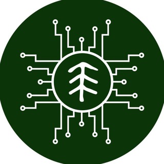 Cyber Ель | Синхронизируйся с Ельвой!