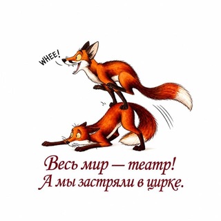 Маркетплейсный Шапито: Наводим Порядок