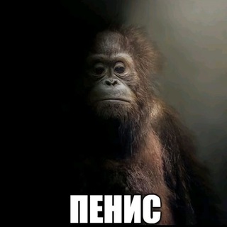 🌼 Помойка МакакИ 🌼 рисульки 💦