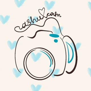 @ dashu cam