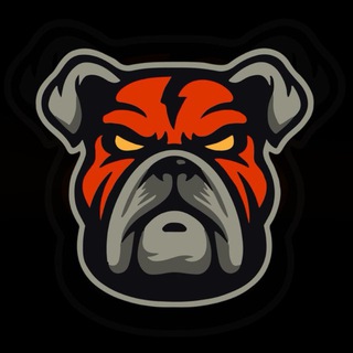 DDOG News