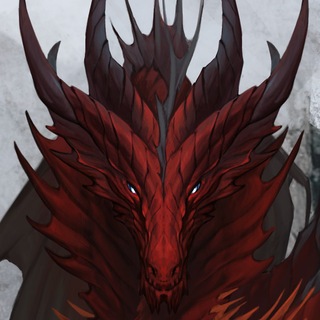 DDragons🐉