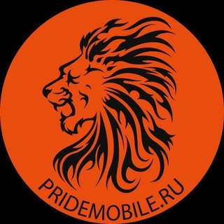 Детейлинг-студия Pridemobile