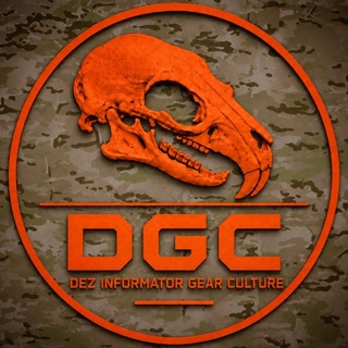 Dez_informator