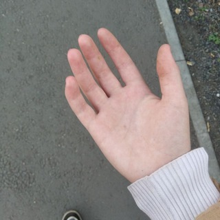 Рыжий бор ④