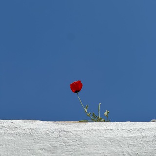 دیدمَه