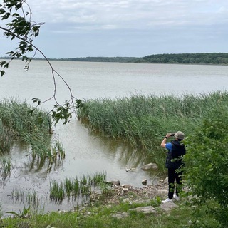 Дідівські спогади