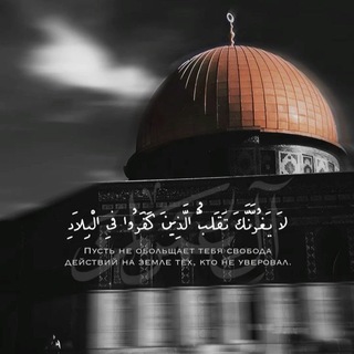 مَقدِسيُّ الهَوىٰ ،، ❤️🌿