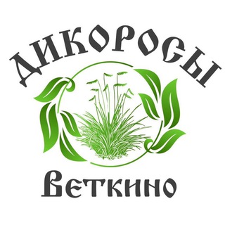 Питомник многолетних растений ДИКОРОСЫ
