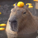 ЗАКРЫТ!