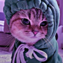 🌸KOTIK🌸