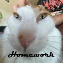 HOMEWORK