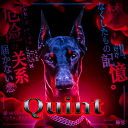 Quint Studio❤