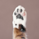 paws.NET