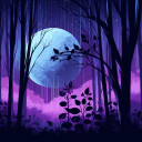 ◈ Dark Side Forest ◈