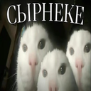 президентский люкс