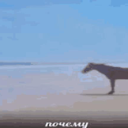 хс