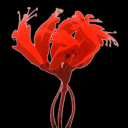 Sad Die Empty