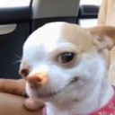 Chiper umplut