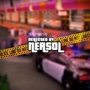 NERSOL