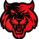 TIGERS PUBG