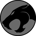 Profesioonal