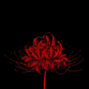 Kanashimi
