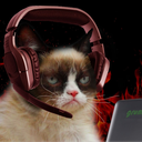 Games CaT House