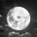 🌑moonlight