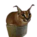 FloppaDev