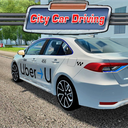 City Car Driving