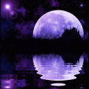 Lunar Vibe 🌙