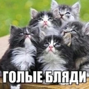 крутые ребята